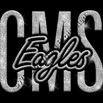 GLT95 SILVER GLITTER Thumbnail